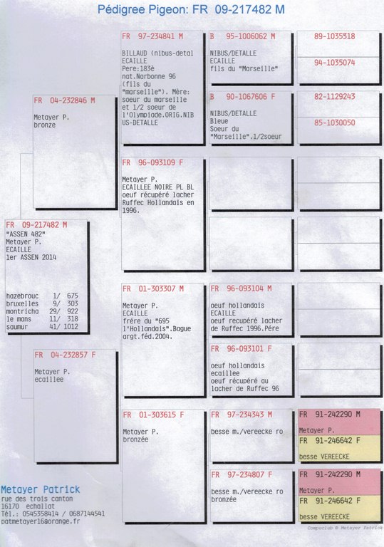 pedigree 217482/09