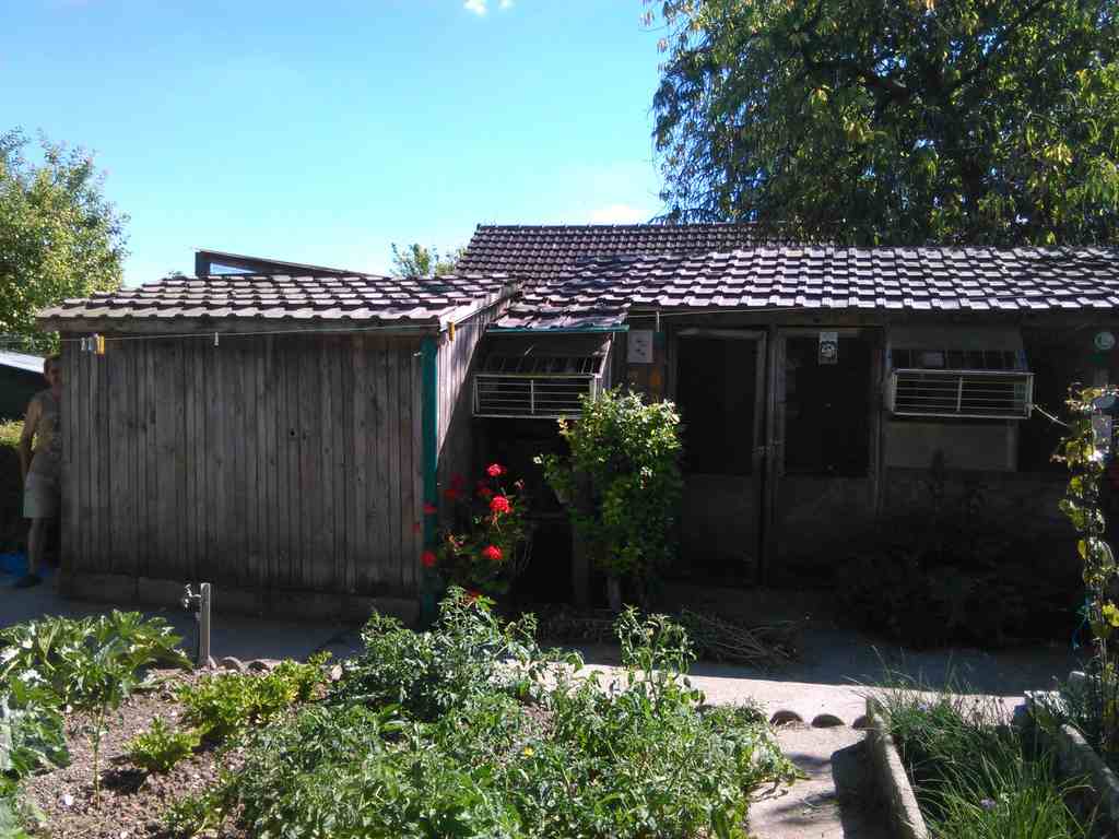 IMG 20160716 171339