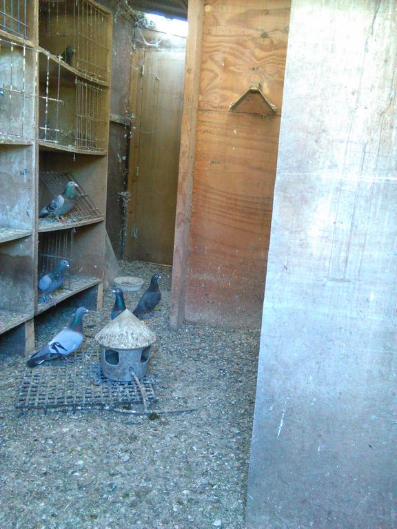IMG 20160716 171659