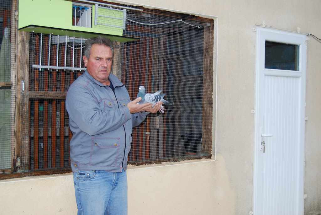 avec mon as pigeon fond 1
