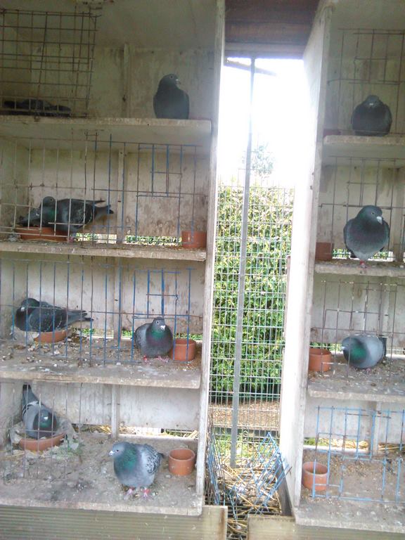 IMG 20160306 163132