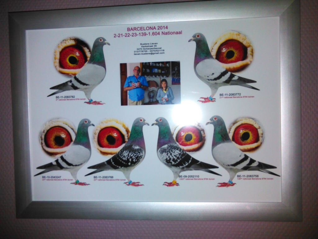 IMG 20160306 174333