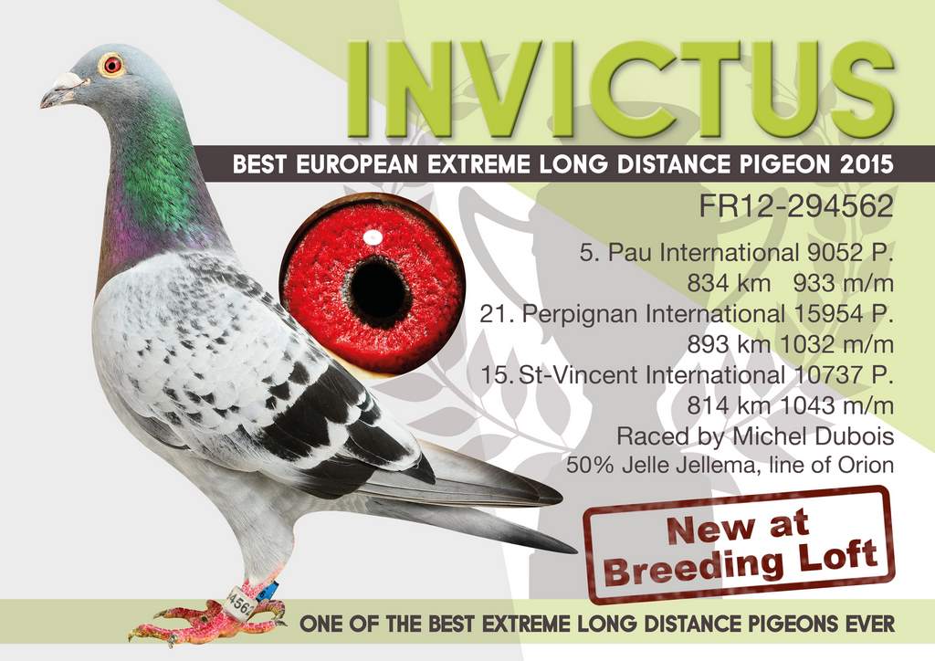 invictus HQ 1