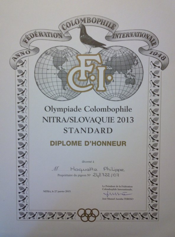 nitra 2013
