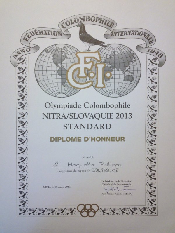 nitra 2013 2