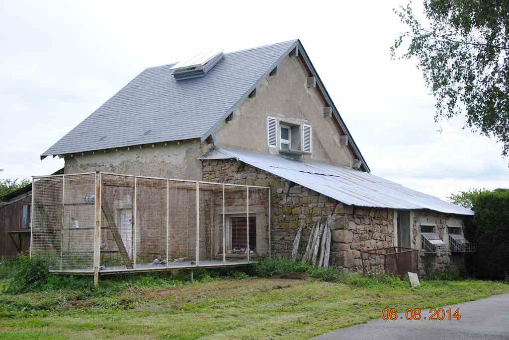 colombier actuel
