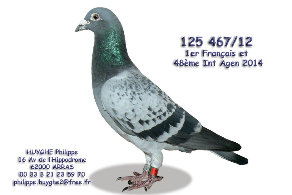 125467 12
