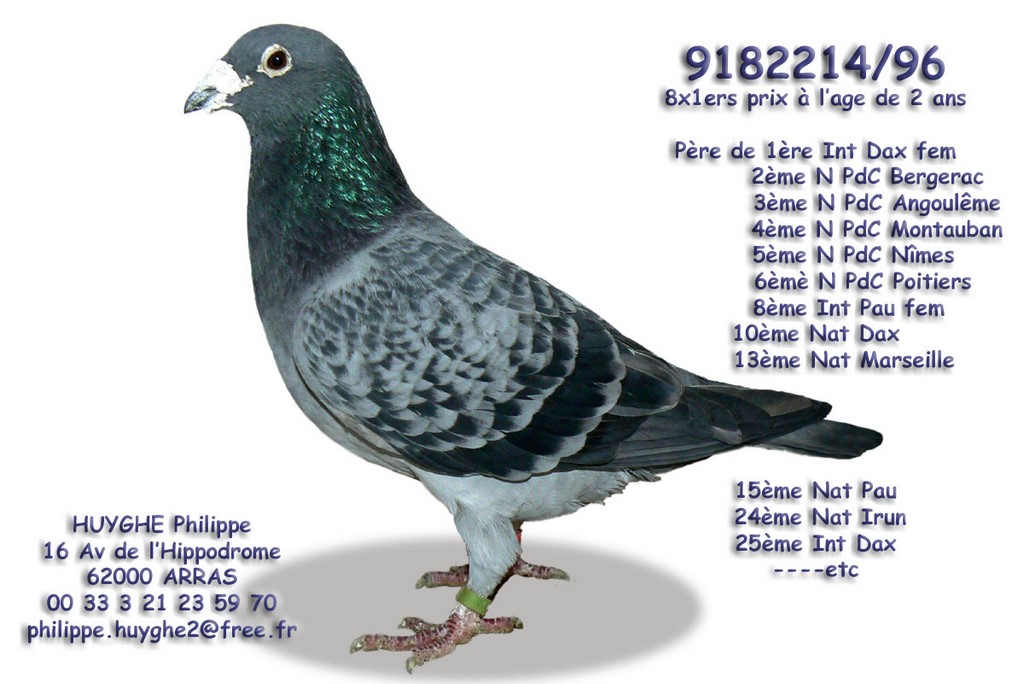 9182214 96