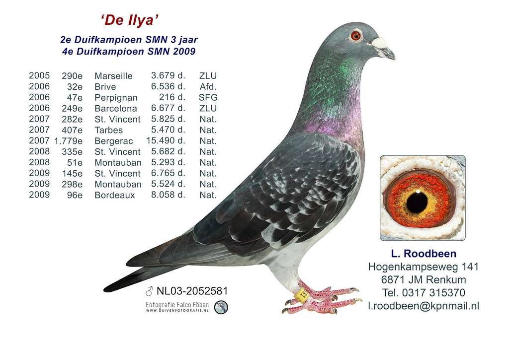 NL03 2052581 1