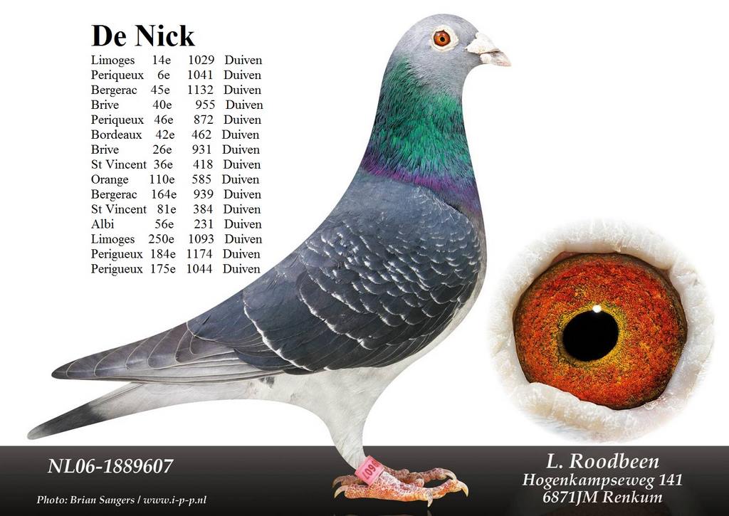 Nick 1