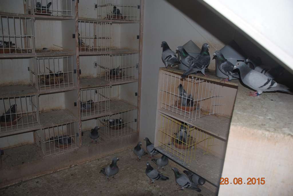 casier veufs2