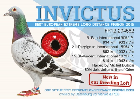 invictus