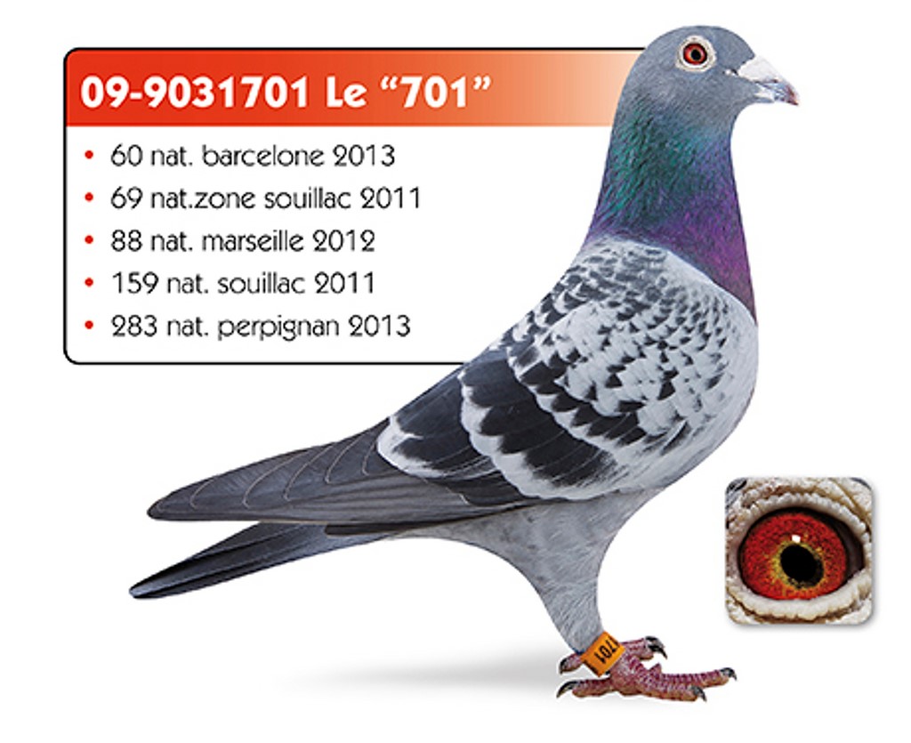 003 depasse le701