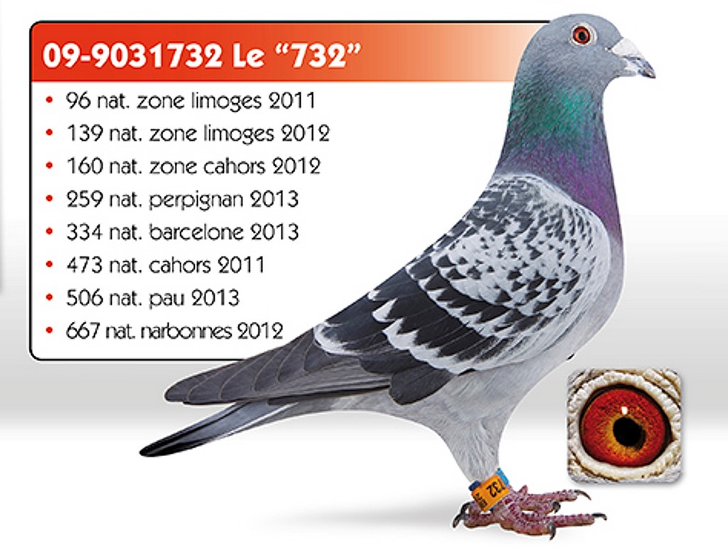 006 depasse le732