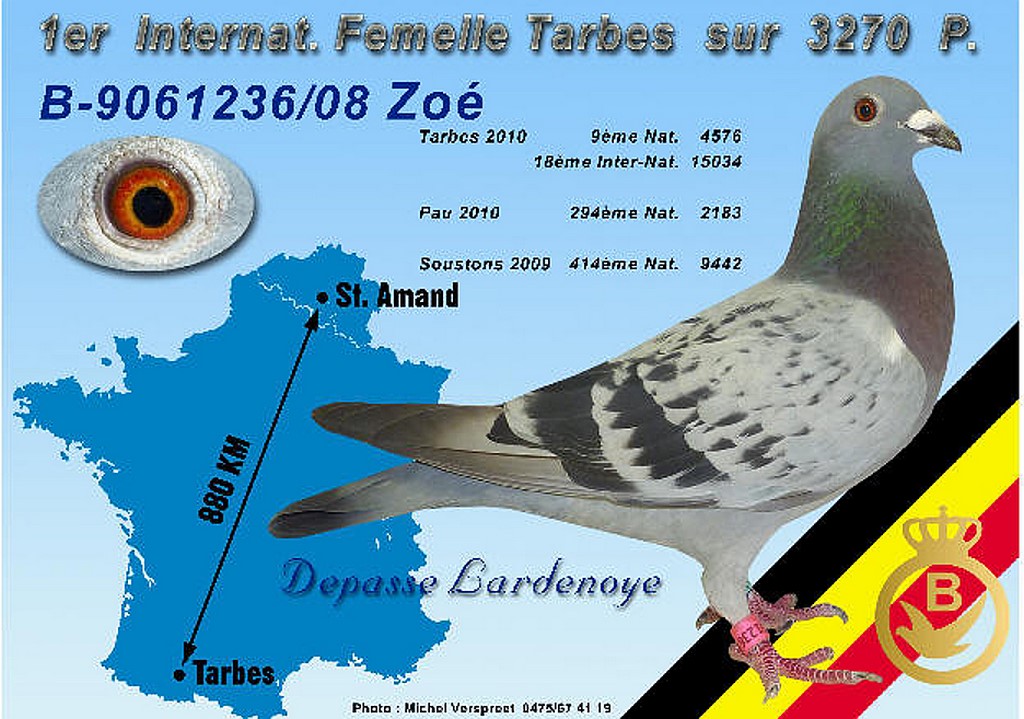 010 depasse zoe