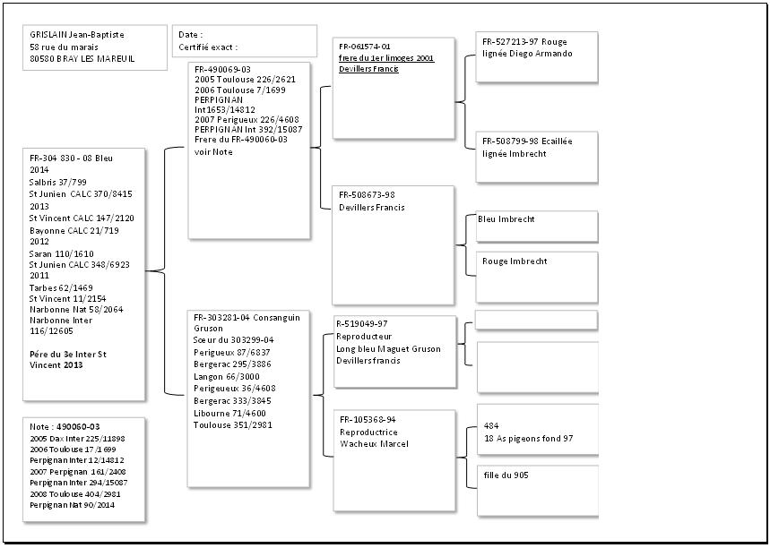 grislain pedigree