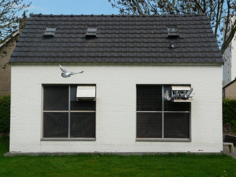 colombier haesen