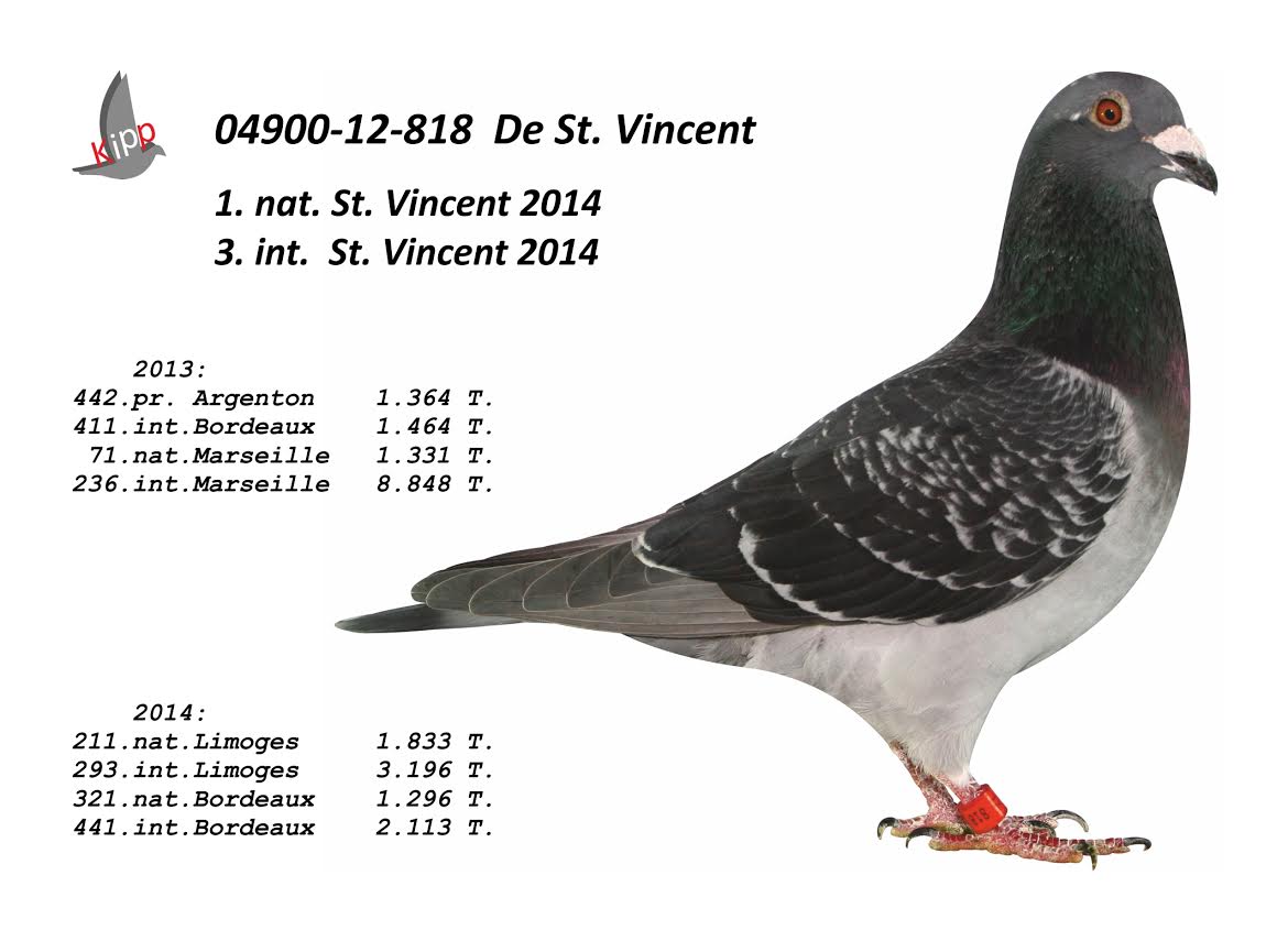 1 nat st vincent 2014
