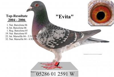 lessmeister evita