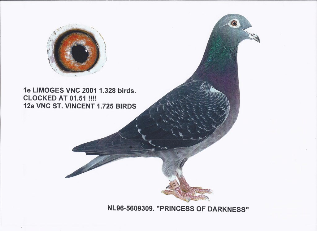 1 Limoges 2001 1328p