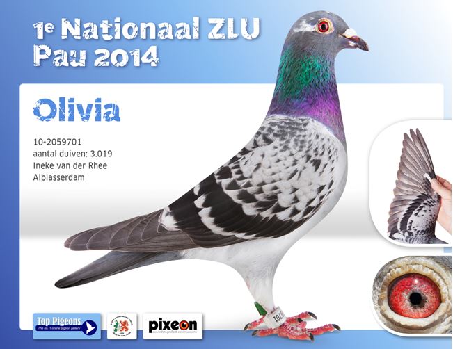 ineke van der rhee OLIVIA