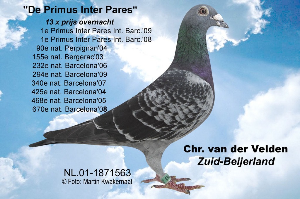 Primus Inter Pares
