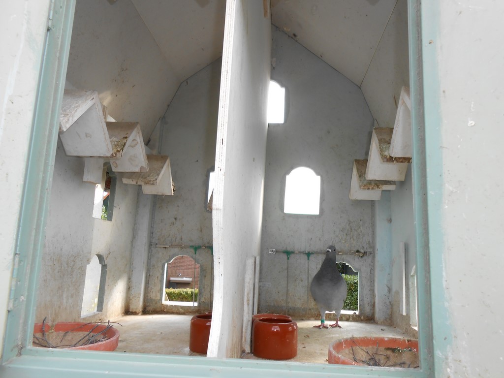 DSCN1114 1
